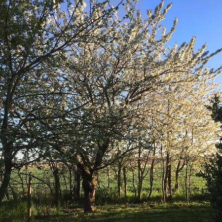 Vierseitenhof Hasenfelde - Kleine Auszeit - 1 Raum * Steinhofel