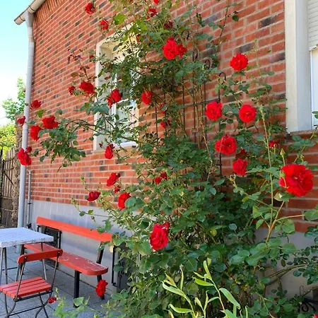 Apartment Vierseitenhof Hasenfelde - Kleine Auszeit - 1 Raum